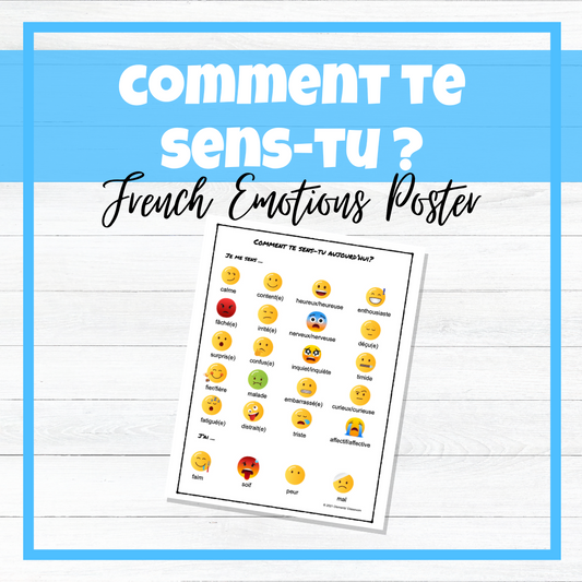 Comment te sens-tu aujourd'hui ? - French Feelings and Emotions Chart / Poster