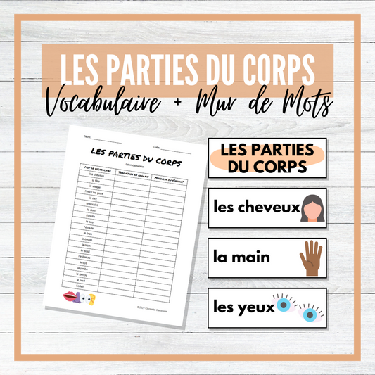 Les Parties du Corps - Body Parts - French Vocabulary Activity + Word Wall