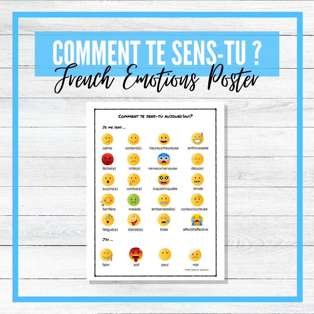 Sentiments et Émotions - Feelings and Emotions French Unit - BUNDLE!