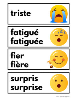 Sentiments et Émotions - Feelings - French Vocabulary Activity + Word Wall