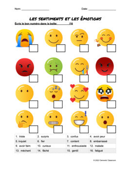 Sentiments et Émotions - Feelings and Emotions - French Reading Comp Test